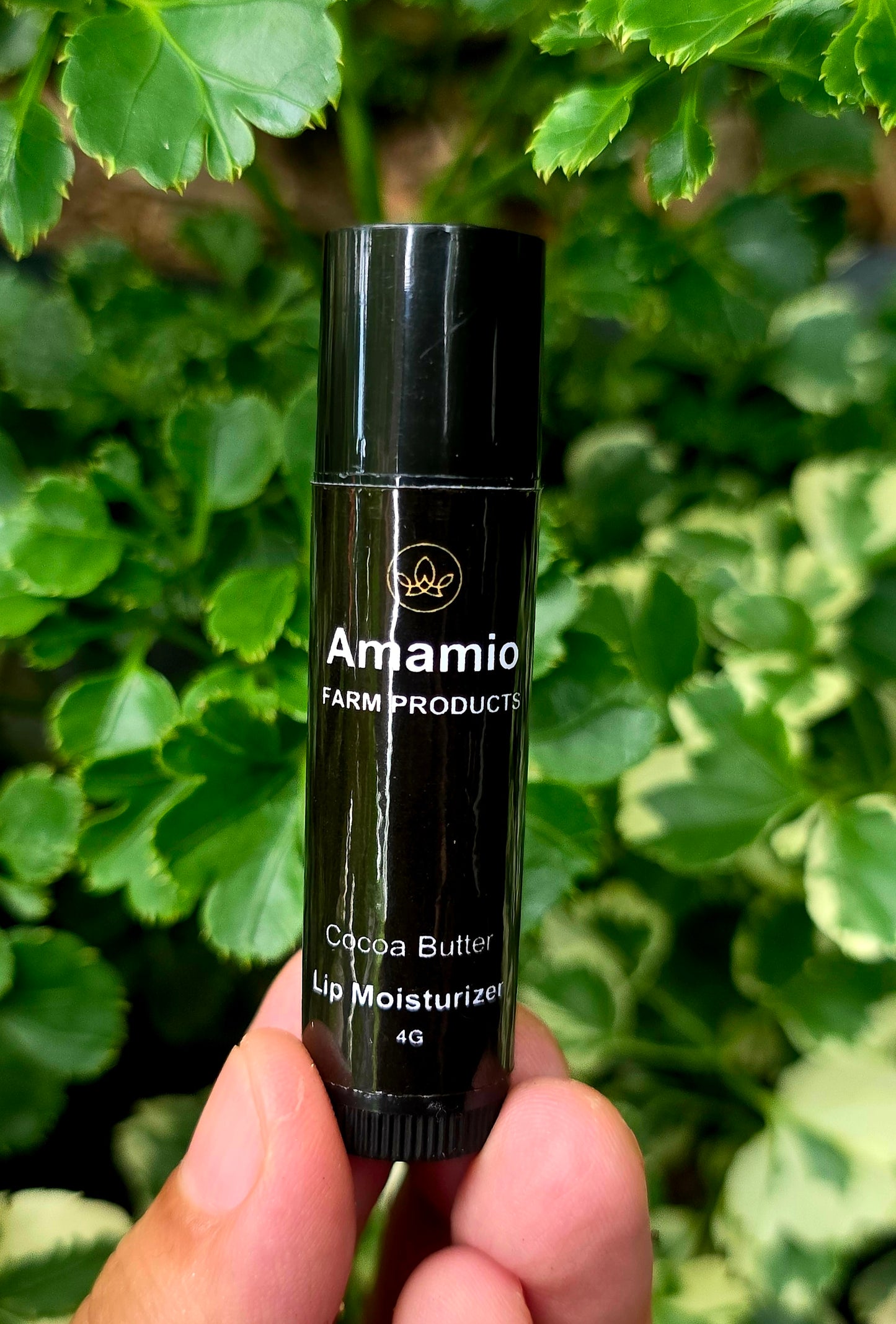 Cacao Butter Lip Moisturizer