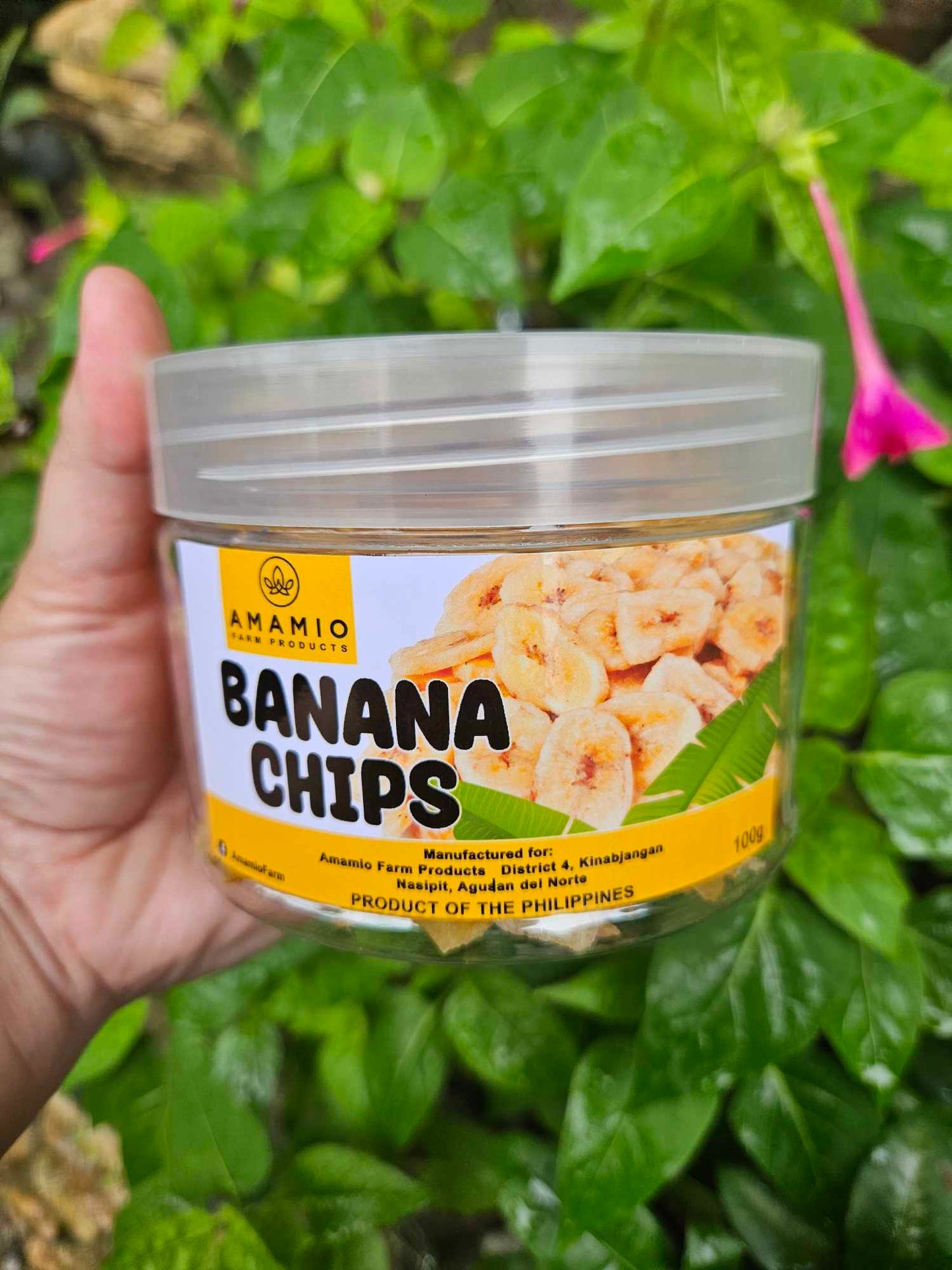 Banana Chips 100g