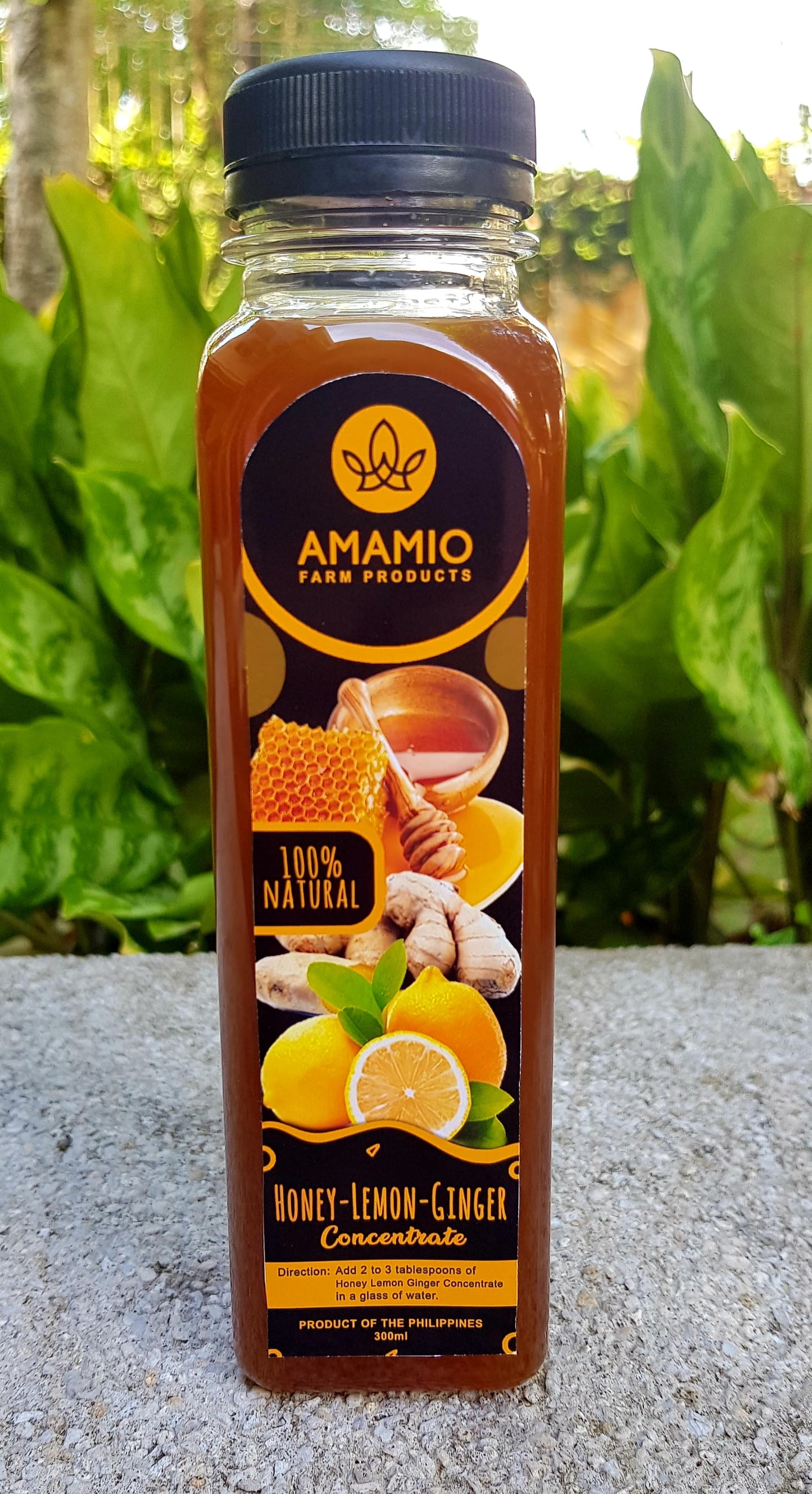 Honey Calamansi & Honey Lemon Ginger Concentrate