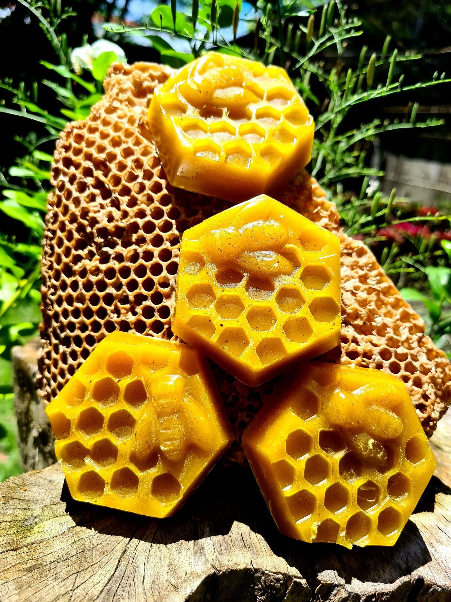 Raw Forest Beeswax 1kilo (20-21pcs)