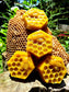 Raw Forest Beeswax 1kilo (20-21pcs)
