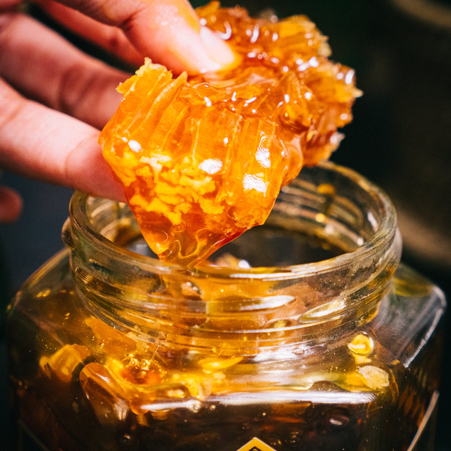 Raw Honey with real honeycomb