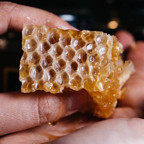 Raw Forest Honey [FDA Approved]